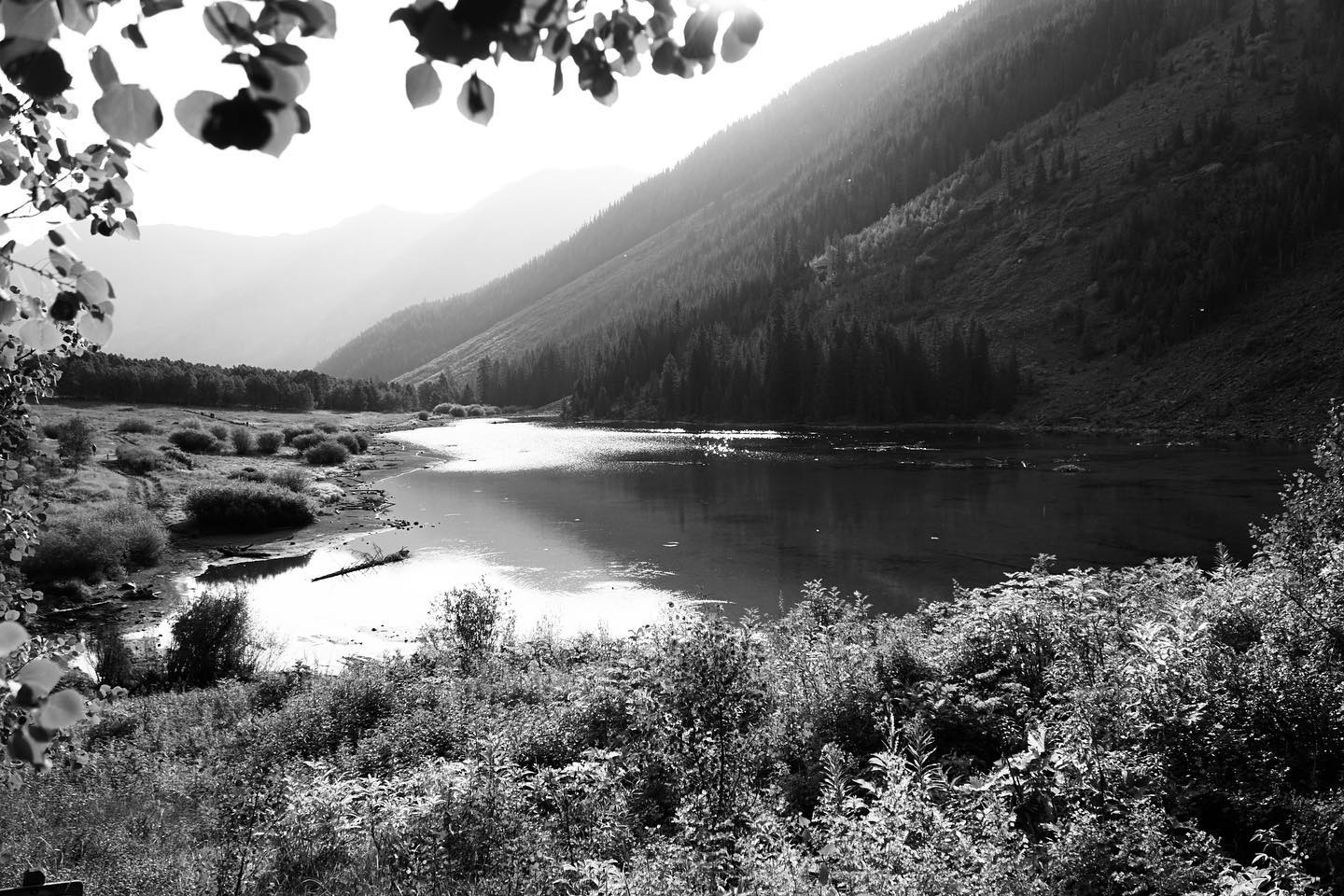 Further Than The Forest photo 4